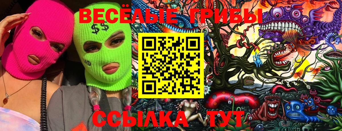 где продают наркотики  Вход с VPN  Жуковский  Псилоцибиновые грибы мухоморы 